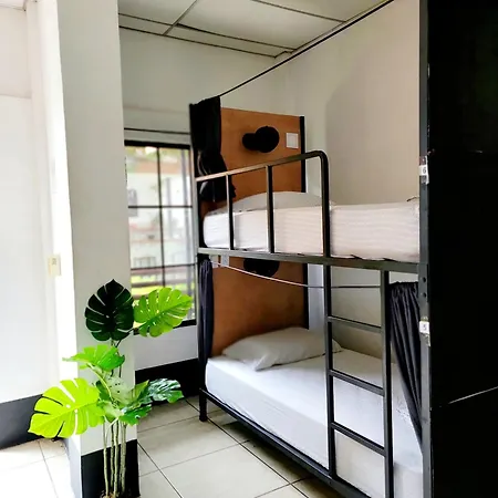 Poco A Poco Hostel León Extérieur photo