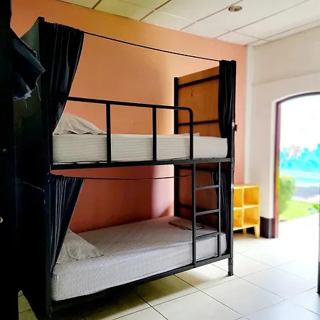 Poco A Poco Hostel León Extérieur photo